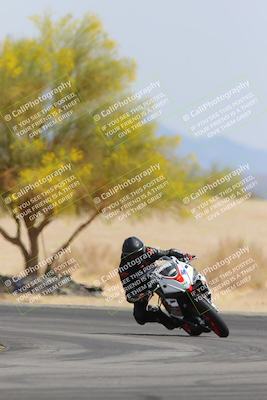 media/Apr-12-2025-Race Pace (Sat) [[9230add55f]]/Vested/6-Turn 4 Tree of Life (115pm)/